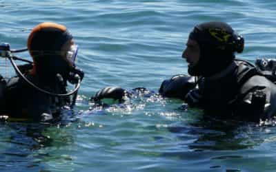 Formation D1 et D2 2026 – Les plannings sont en ligne