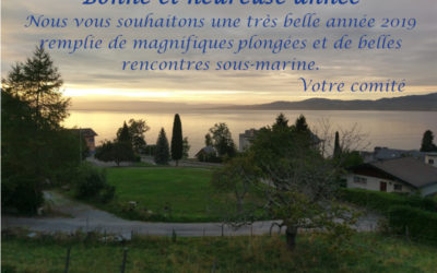 Bonne année à tous !