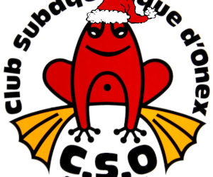 Joyeux Noël à tous !