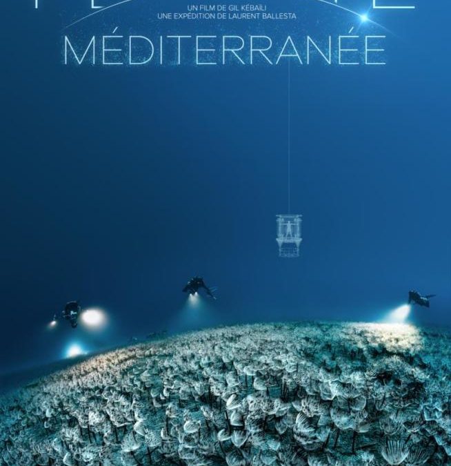 Planète Méditerranée – La nouvelle expédition de Laurent Ballesta