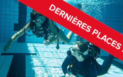 Venez essayer la plongée sous-marine : Dernières places !